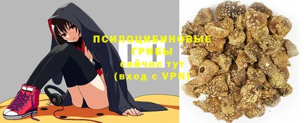 прущие крисы Армянск
